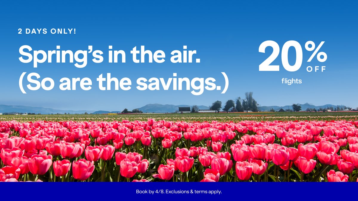 JetBlue Cheeps tweet media