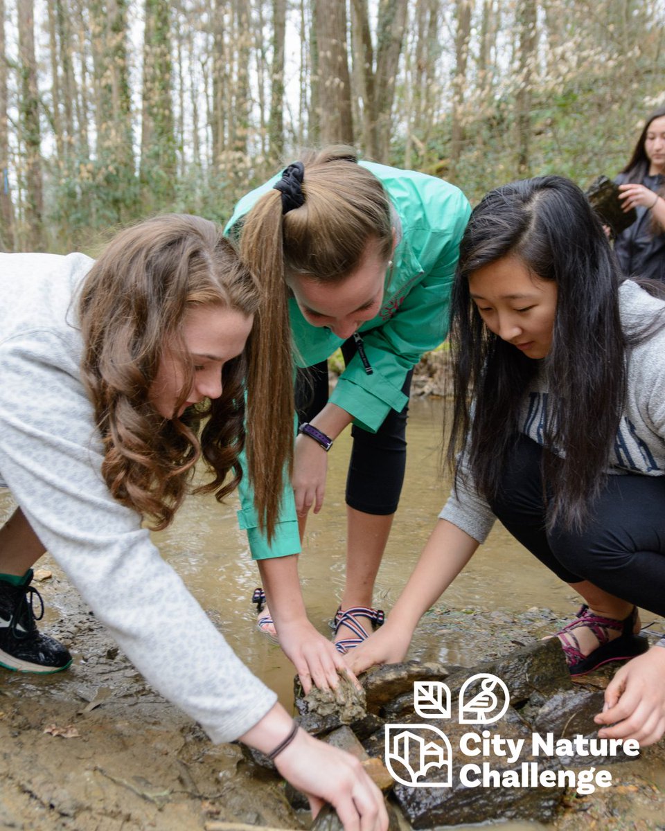 ATLSciFest's tweet image. Our parent company @ScienceATL is excited to partner as part of the 2026 Atlanta City Nature Challenge, led locally by @FernbankMuseum. Starting April 24 - mark your calendars! citynaturechallenge.org #citynaturechallenge #getoutside #Atlanta