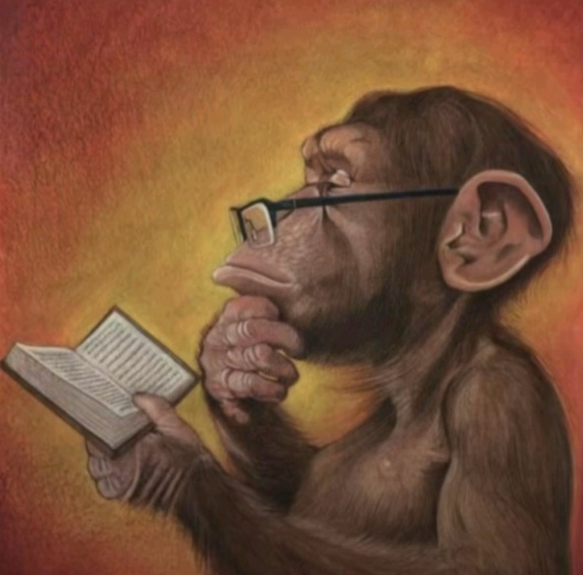 Mason “Purebred” Dixon tweet media