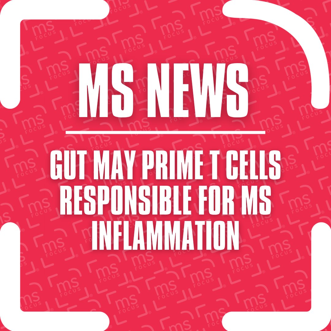 MS Focus: The Multiple Sclerosis Foundation tweet media