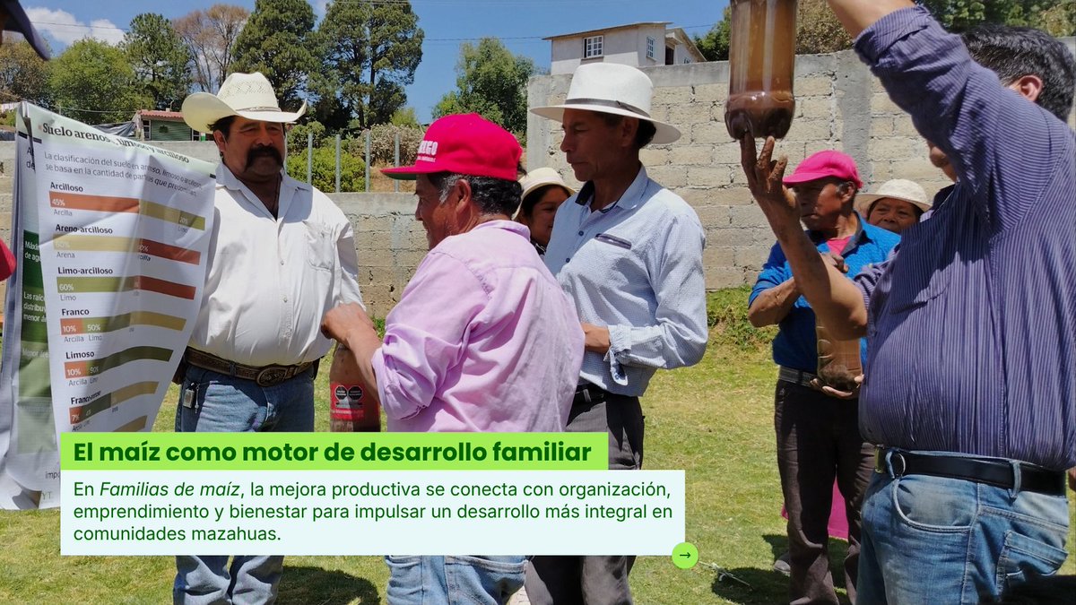 Educampo MX tweet media