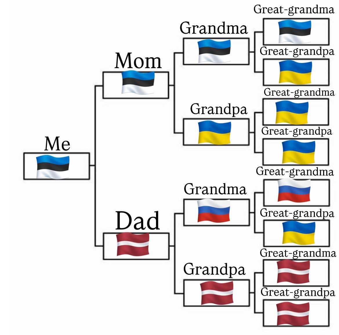 gAstordis tweet media