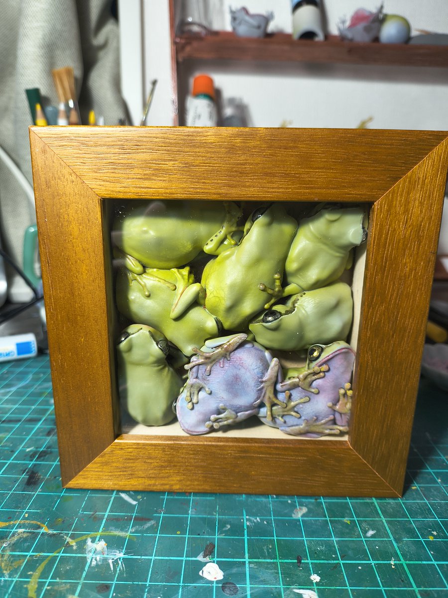 Bakaeru_model:蛙の棚 tweet media