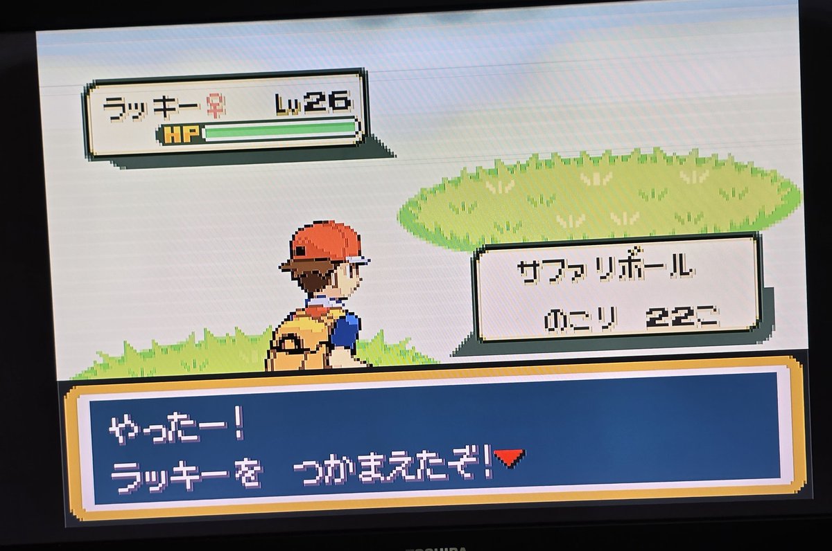 ラッキー捕まえた！
ガルーラ、ケンタロスは一生捕まらない🥹