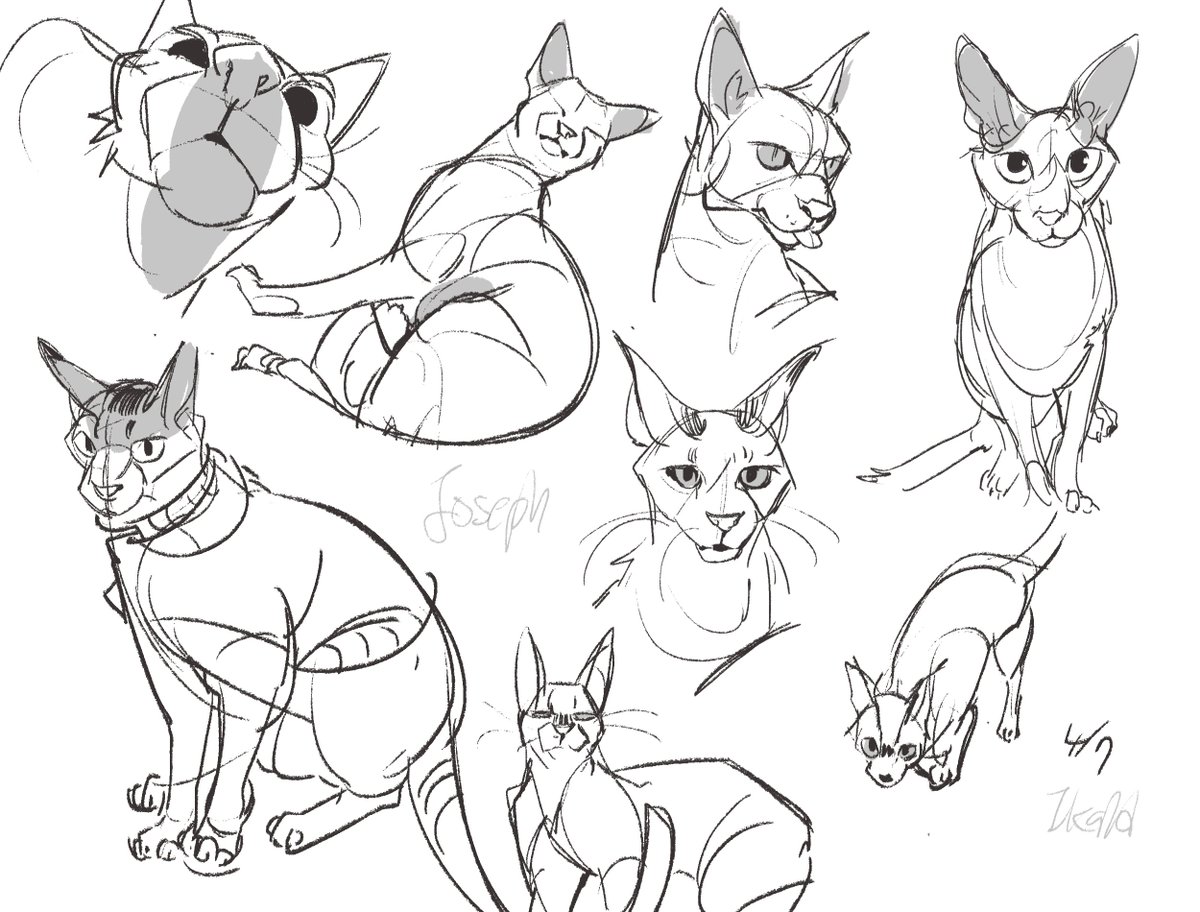 Ikaid_'s tweet image. I disliked my assignment so much that I chose to draw cute Joseph instead