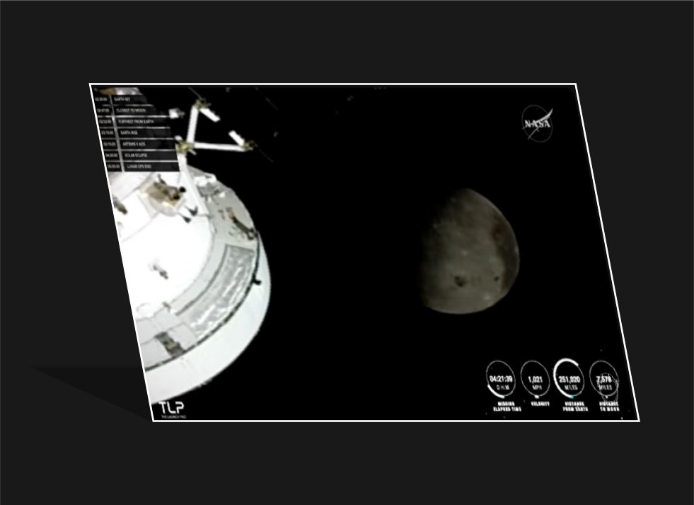 Tasteless Opinion tweet media