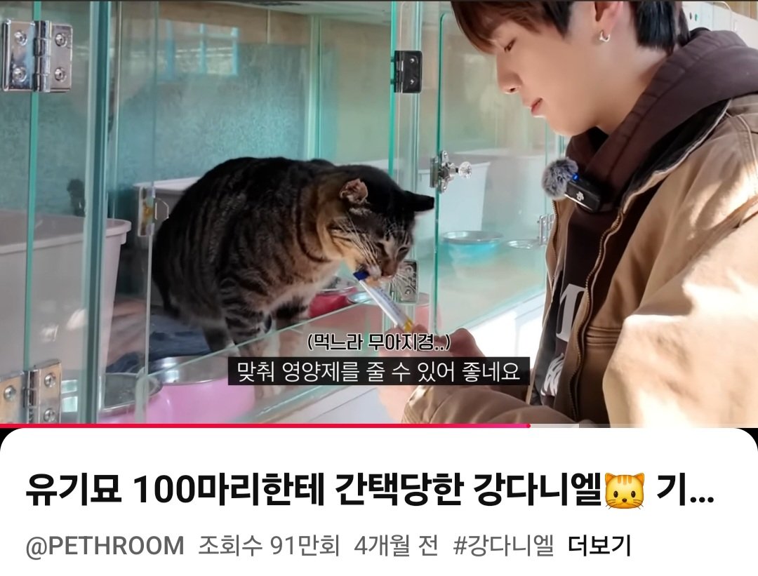 🫡🐶 tweet media