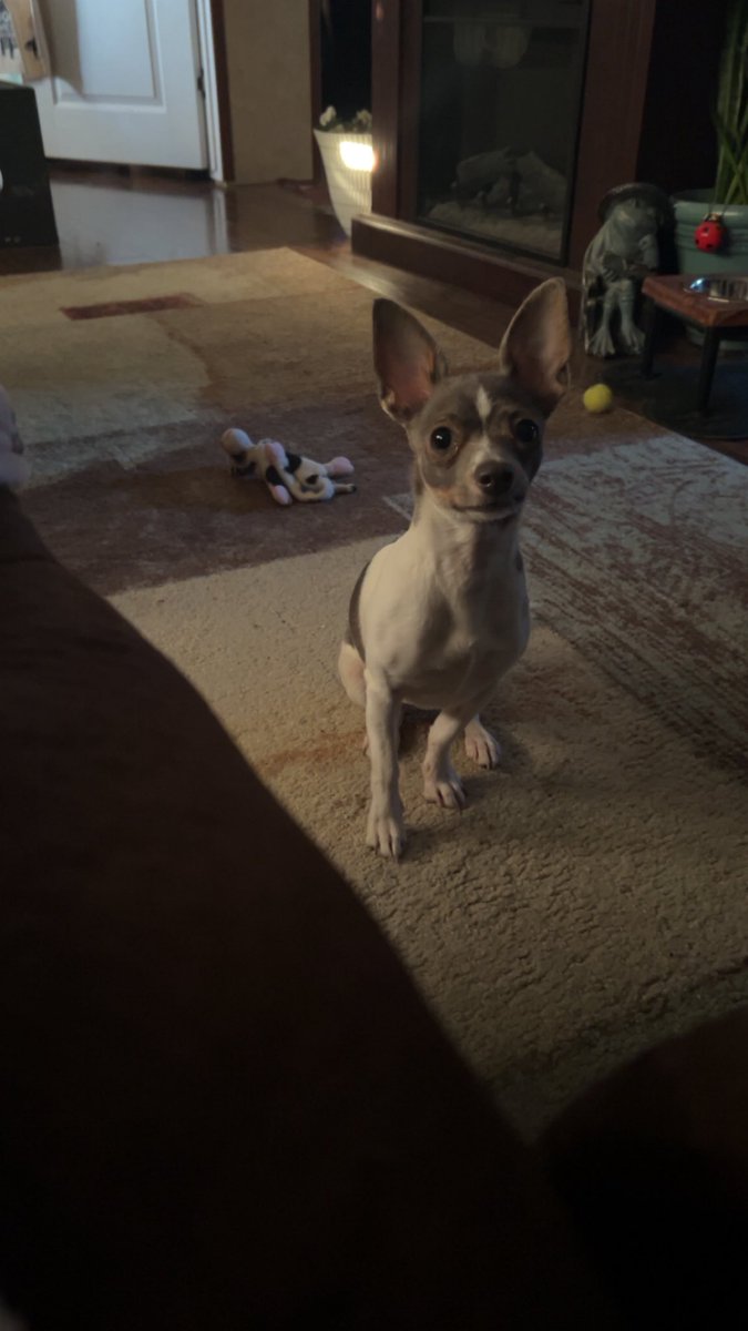 #books #nottomissnovels #authorksc #kscauthor #Souza_Author #read #reading #fivestars #TheWoodedInstrument #FemaleAttributes #TheClinician #CulinaryShock #mustread #fivestarbooks #Novels #AmazonBooks #Bestseller #BarnesandNoble #Kindle #AppleBooks #chapters #Smashwords