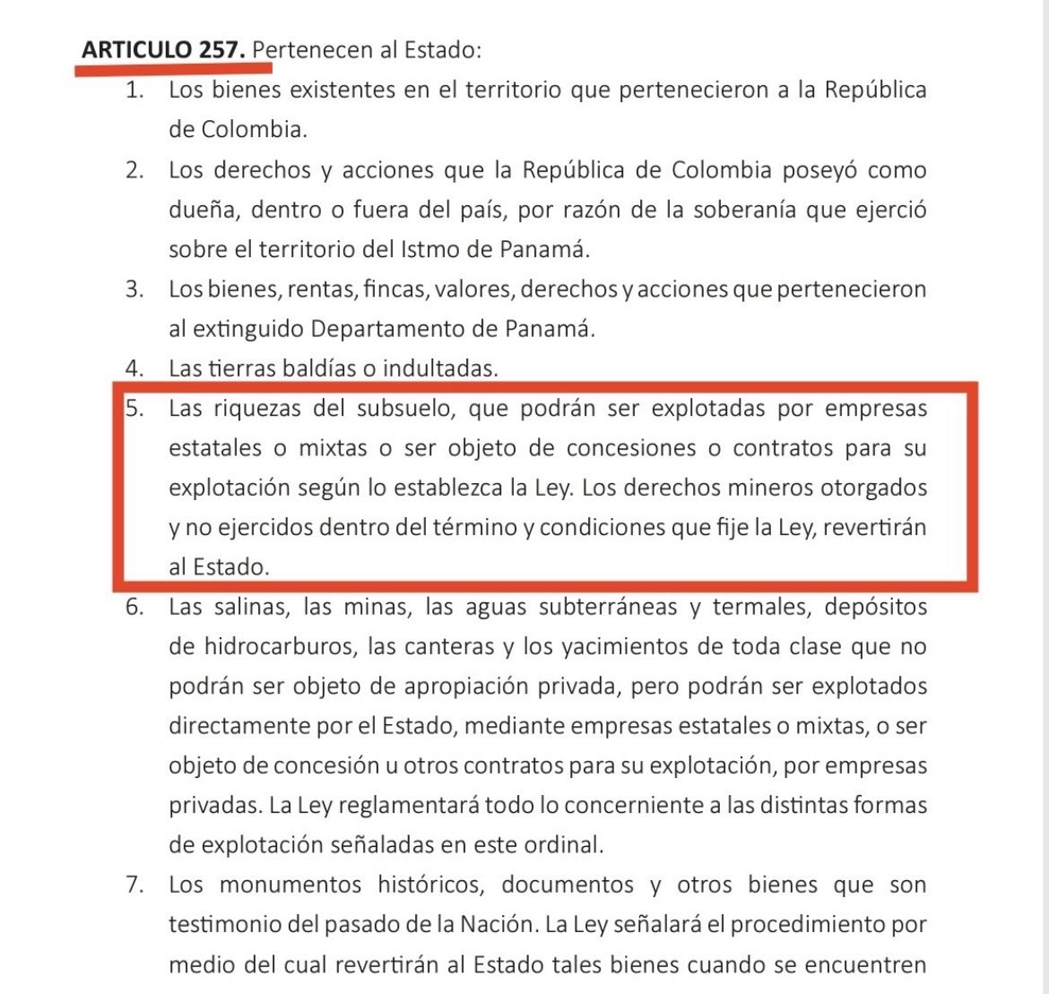 El Loro De Panamá Es Verde tweet media