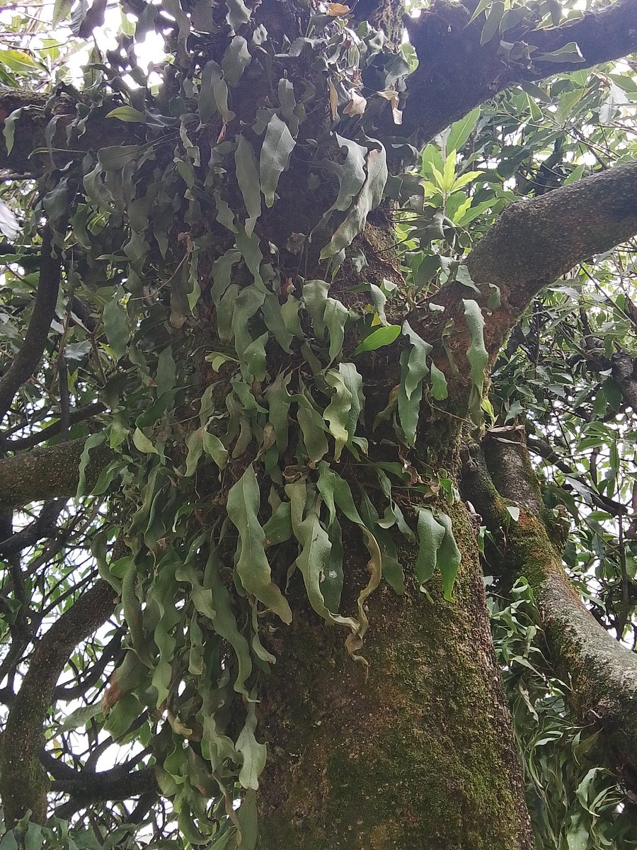 Mabel Hernández Molina tweet media