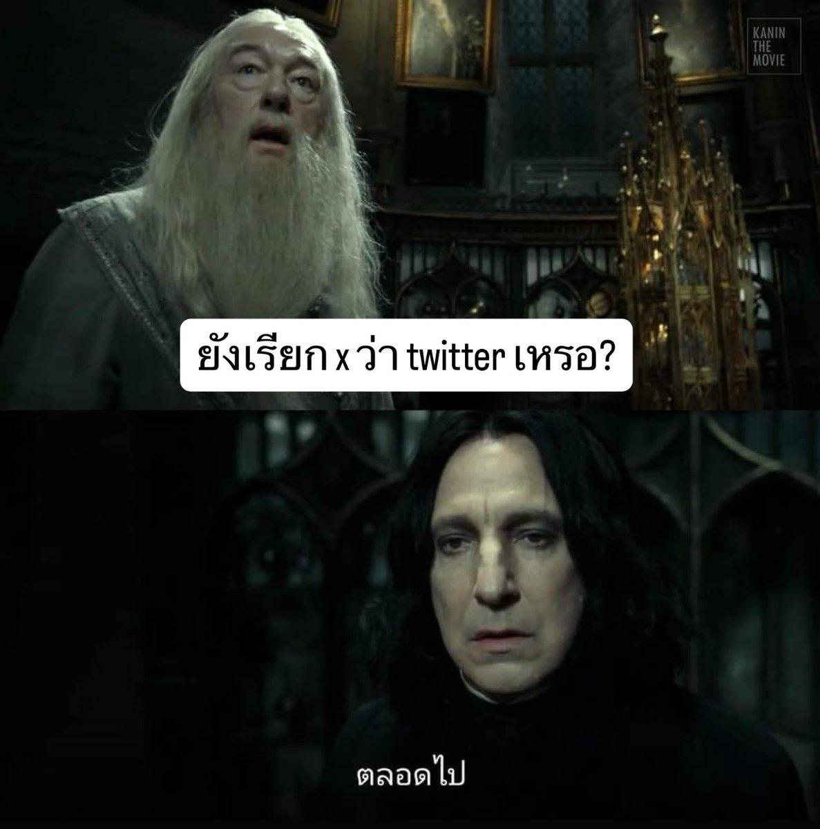 ` 마 크 잭 슨 . tweet media