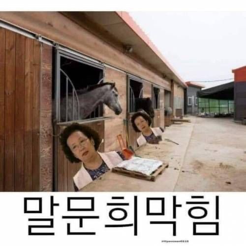 Lv.621 댕끼 tweet media