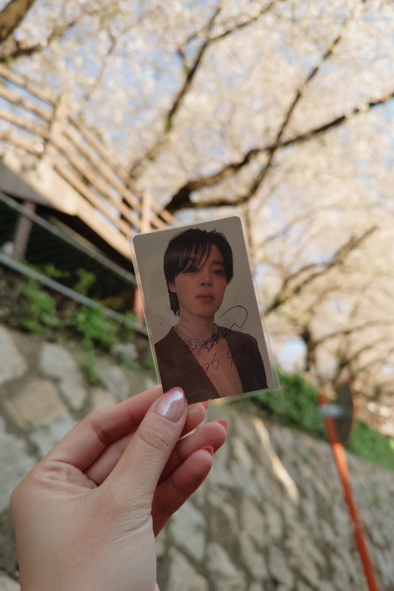 •᷄ ɞ •᷄ ⁷ tweet media