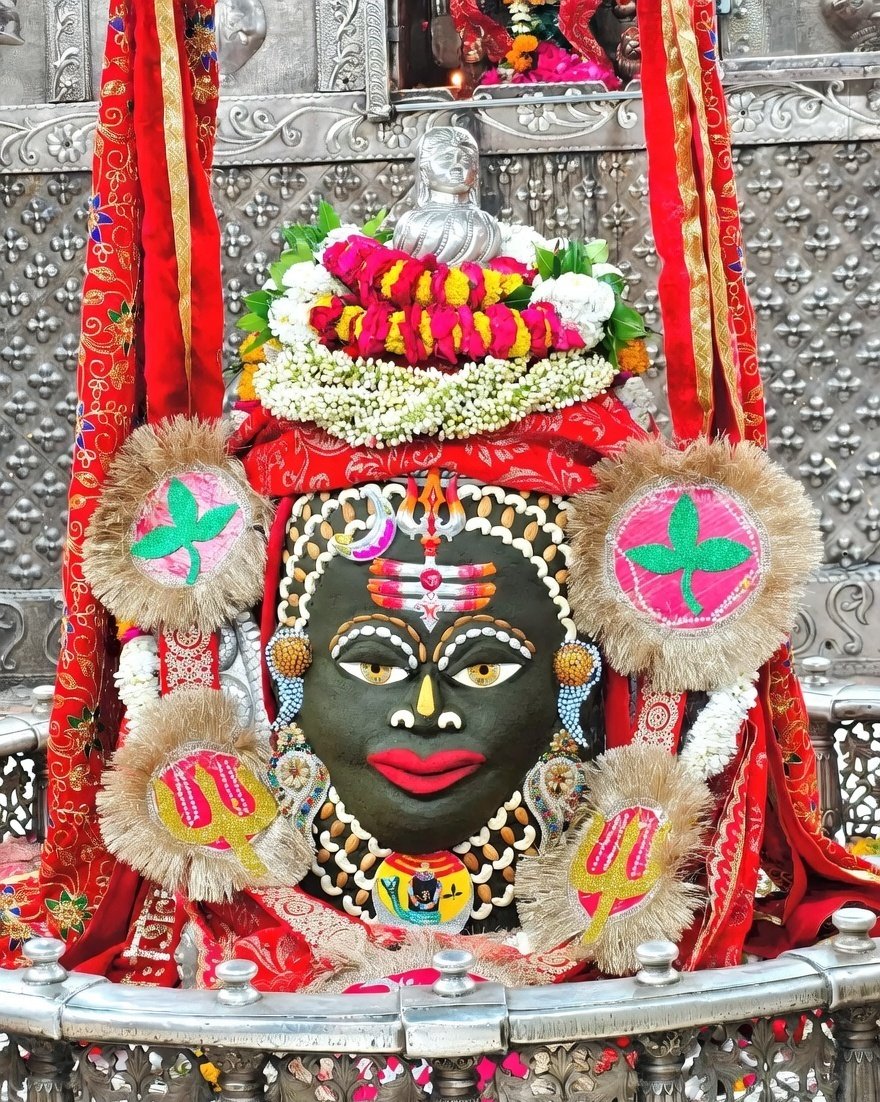 Vaishali Pandit tweet media