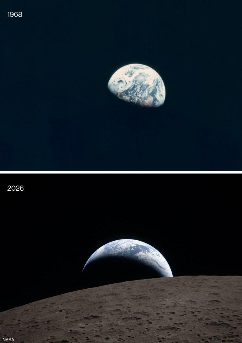 Alerta Mundial tweet media