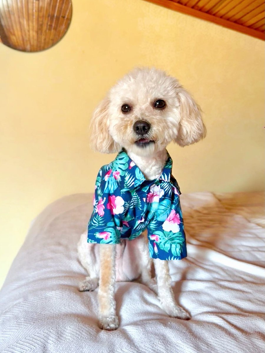 Buse 🪩 tweet media