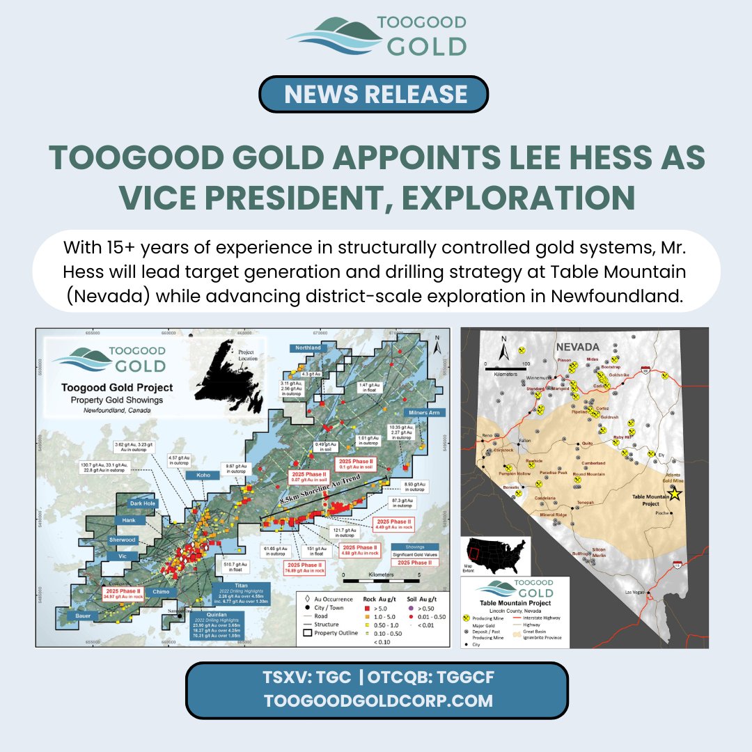 ToogoodGold tweet media