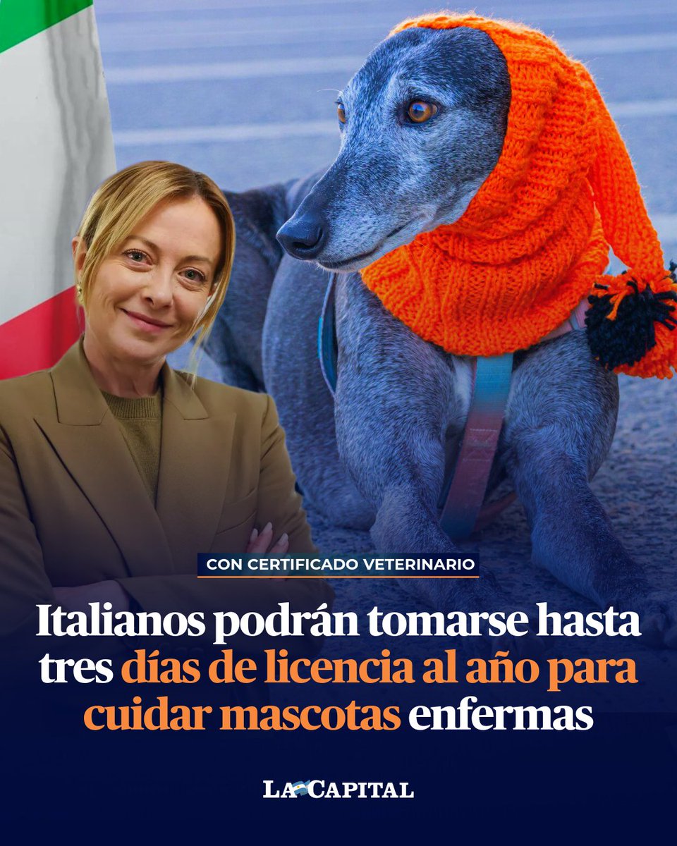 Diario La Capital tweet media