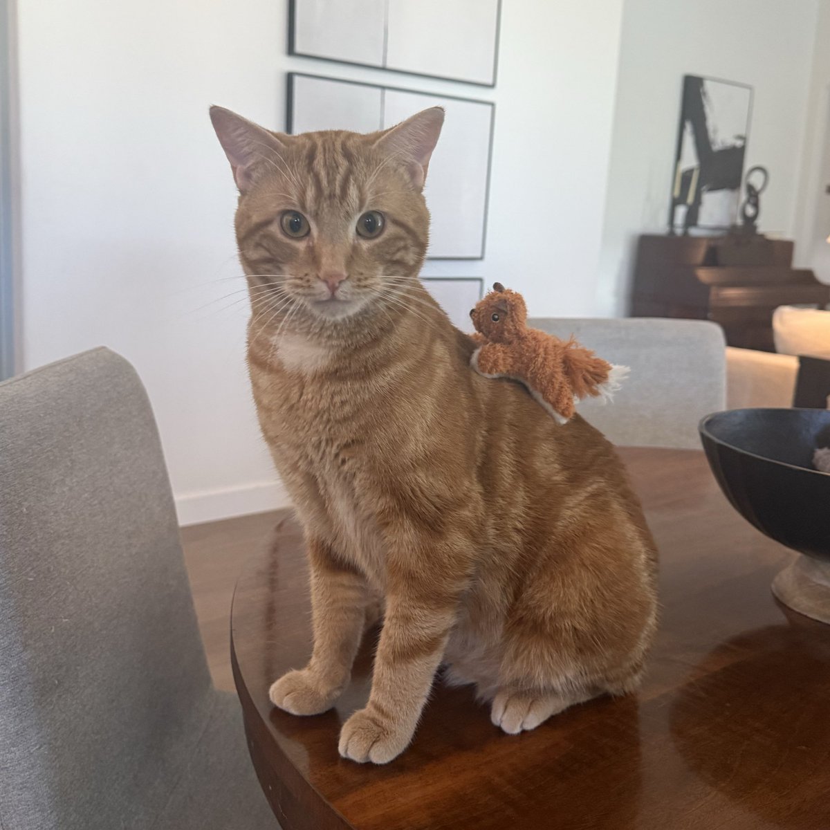 An Actual Cactuar tweet media