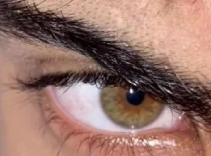 Anyomus_behaviour0986 tweet media