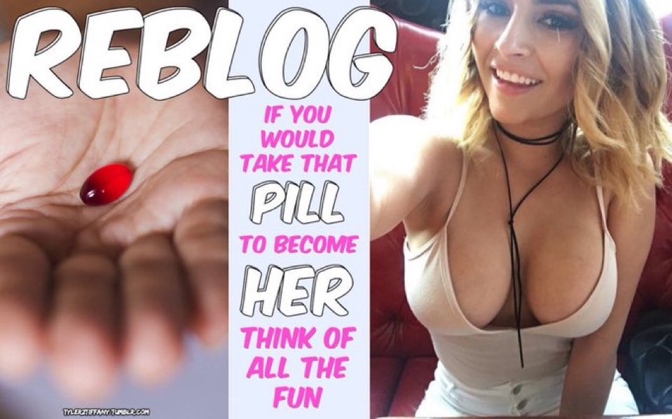 💎 𝕋𝕙𝕖 𝔻𝕠𝕞𝕞𝕖 𝕍𝕒𝕦𝕝𝕥 🌈 tweet media