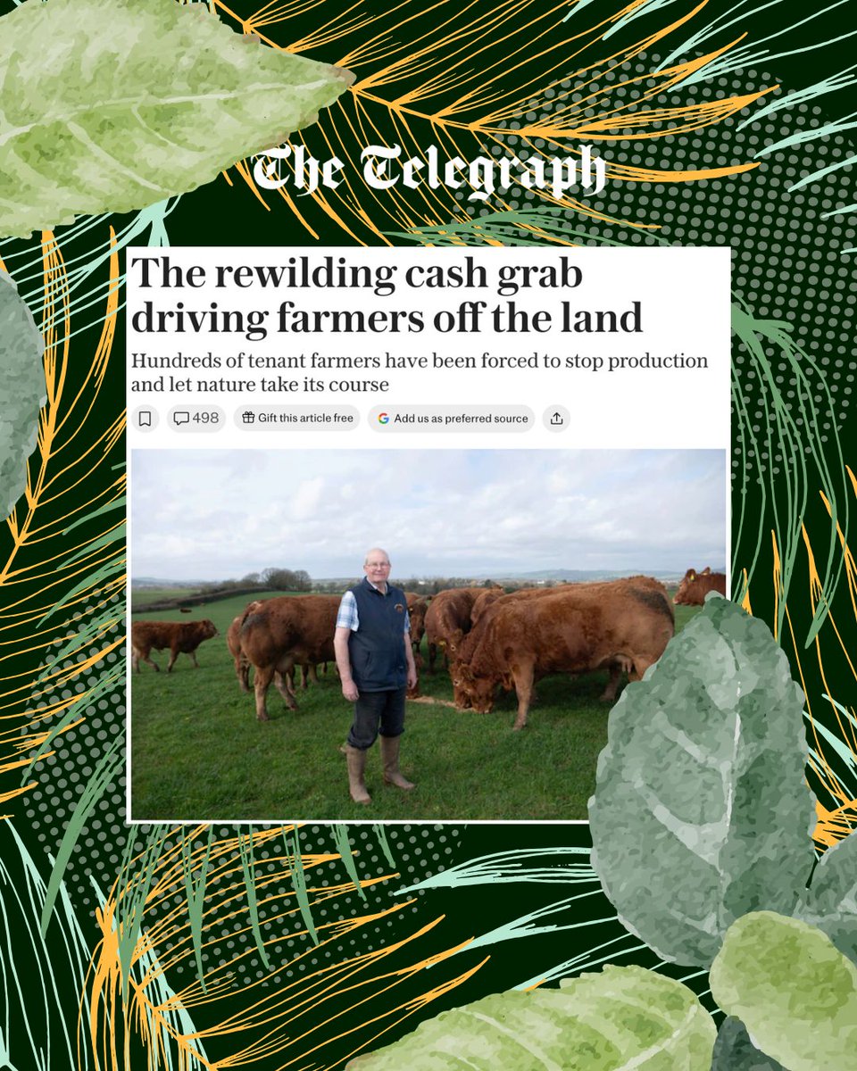 Dale Vince tweet media