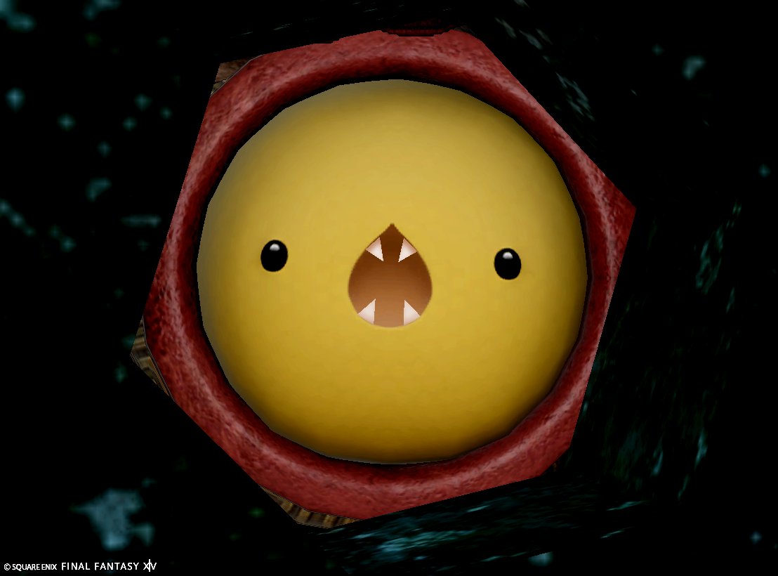 カラト兄 tweet media