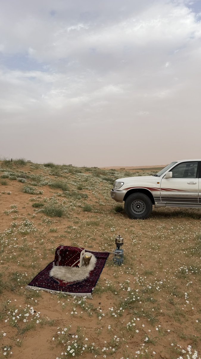 سعد الحريص 📸 tweet media