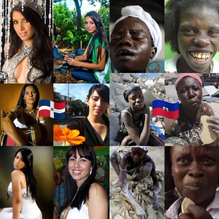 White Dominican tweet media