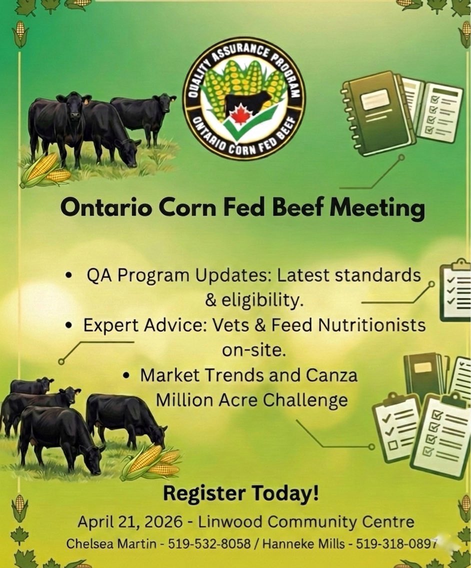 OntarioCornFedBeef tweet media