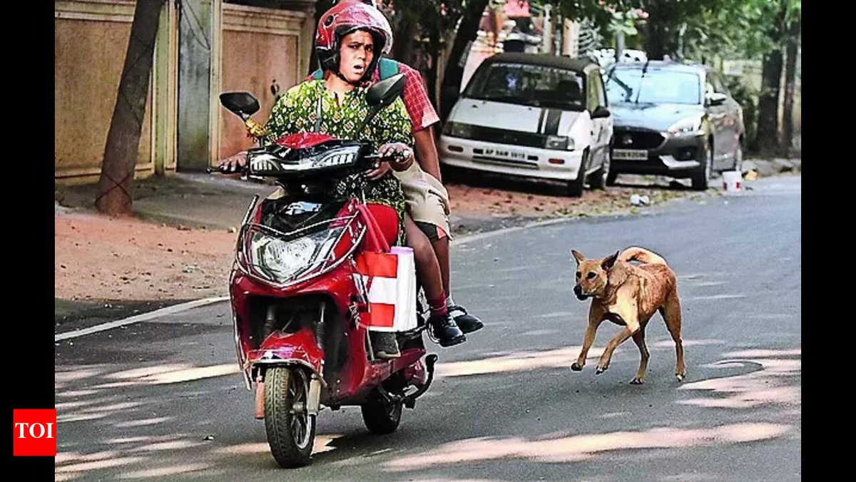 𝙃𝙖𝙨𝙝𝙢𝙞_G🖋 tweet media