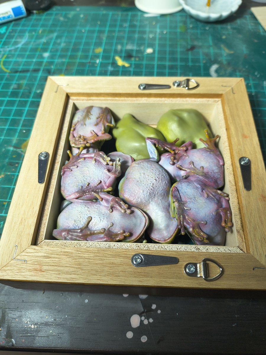 Bakaeru_model:蛙の棚 tweet media