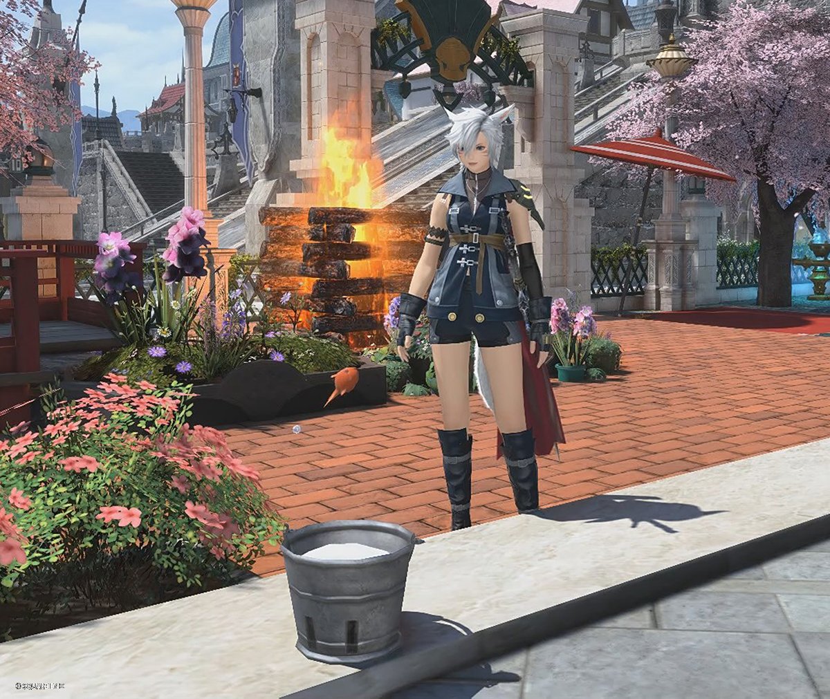 Kit tweet media