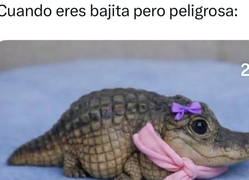 Bueeeeeeenos días mundo 🌍 
Andamos pegrilosos! cuidado  ⚠️