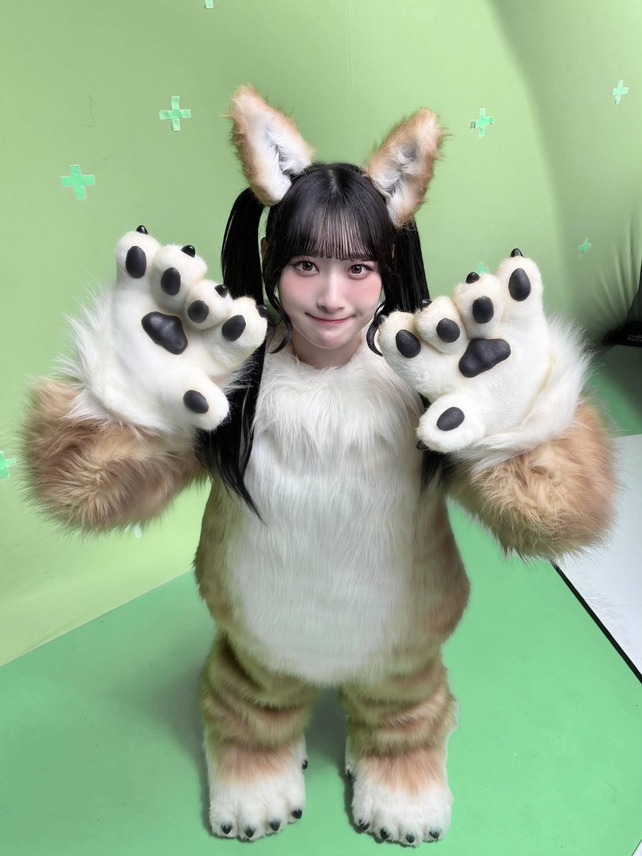 メロンのロン tweet media