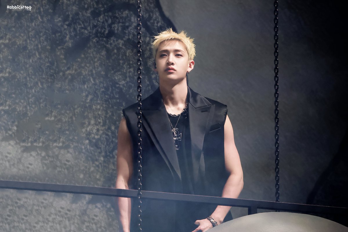 Rabbicatto tweet media