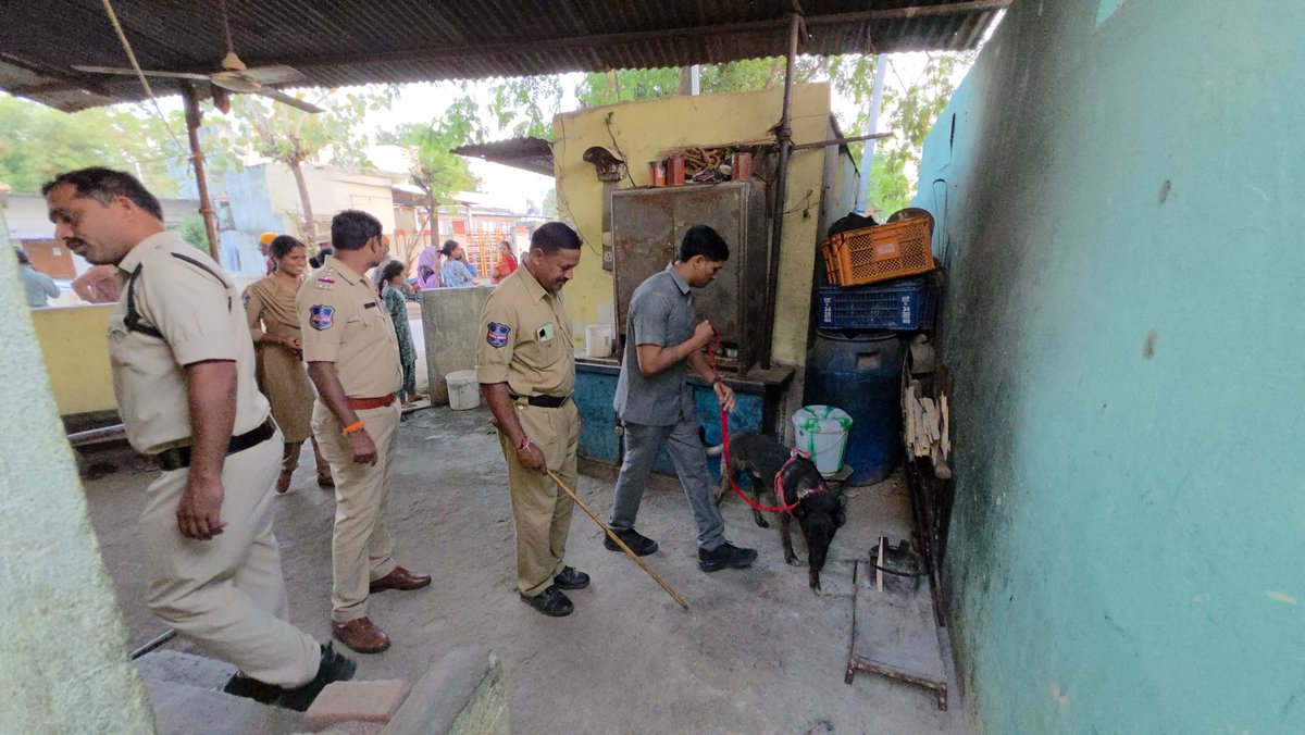 SP SIRCILLA tweet media