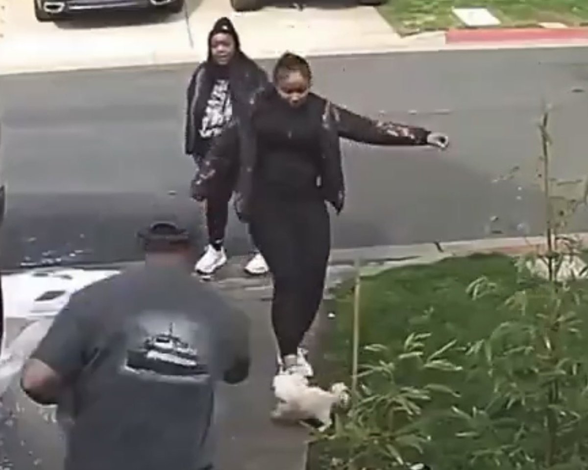 Thomas Huffman tweet media