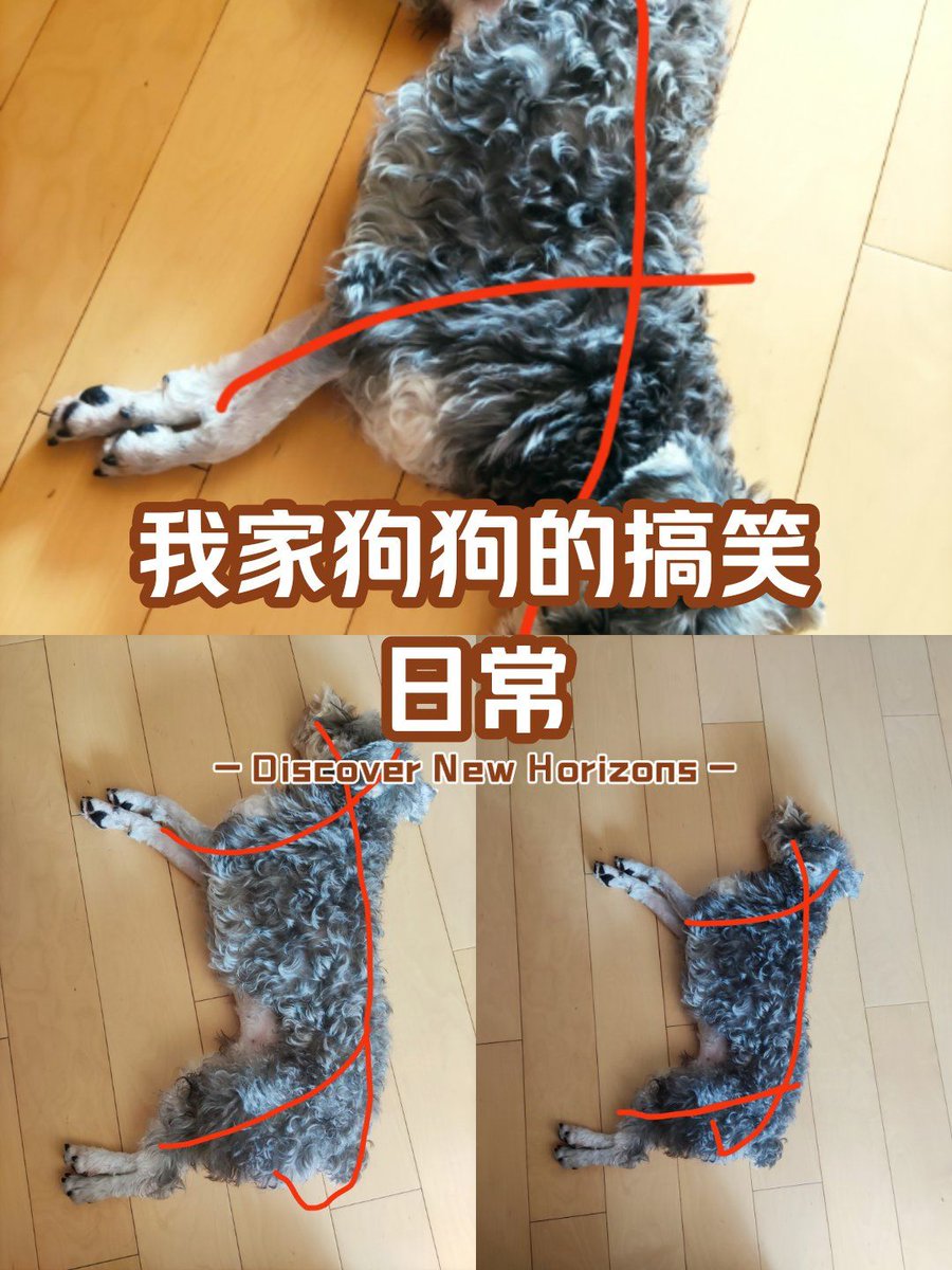 vannyfanny tweet media