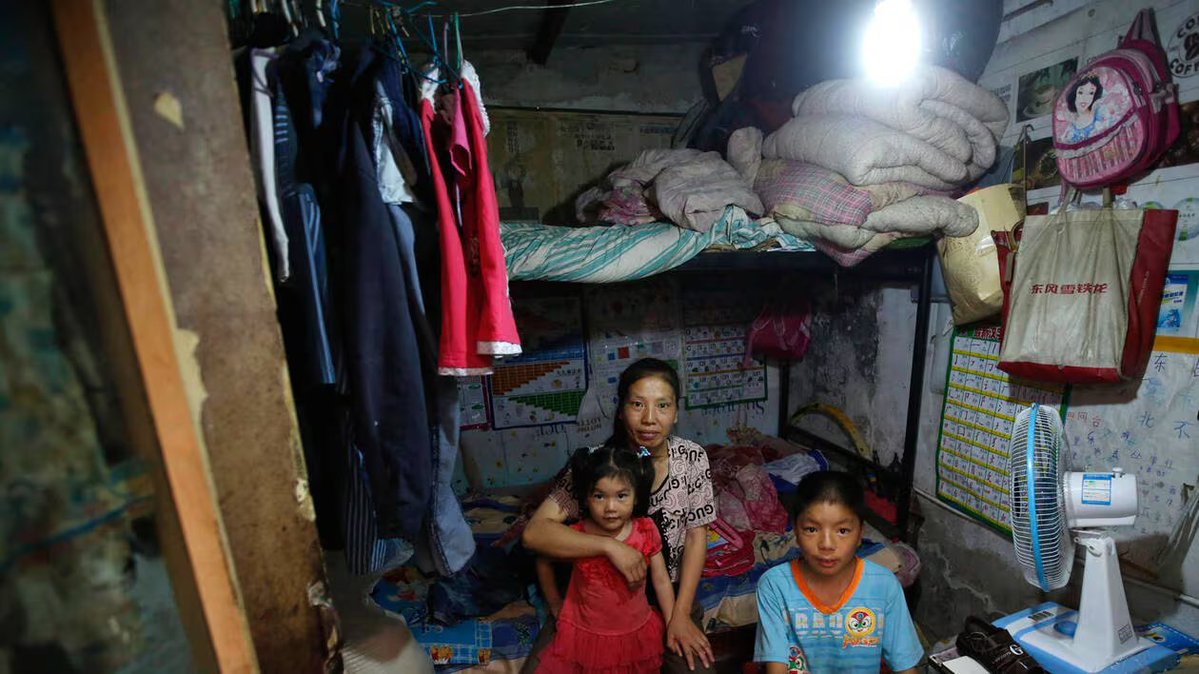 Border Collie (בורדר קולי) tweet media