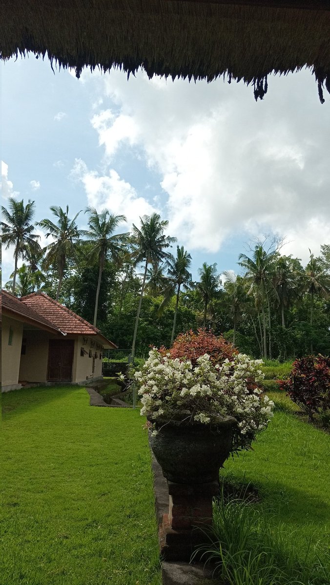 nnaa─★ ˙ | lagi skripsian tweet media