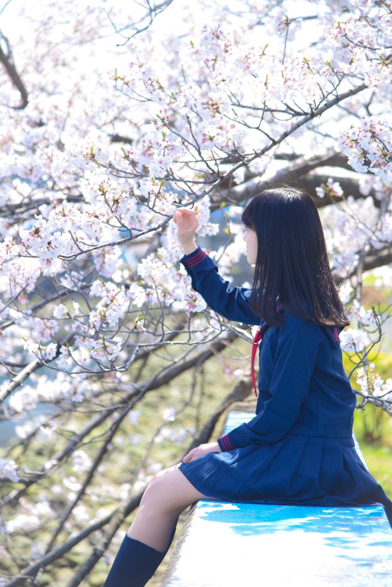 サブ爽 tweet media