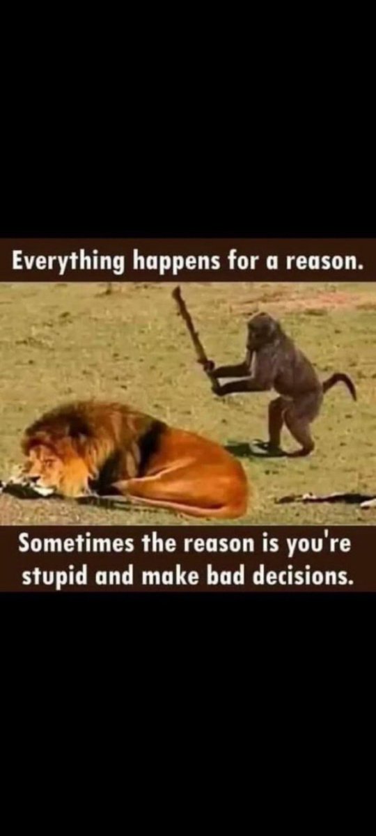 patrick irwin tweet media