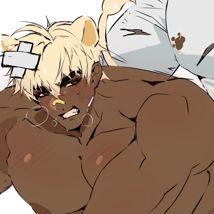 브리치 tweet media