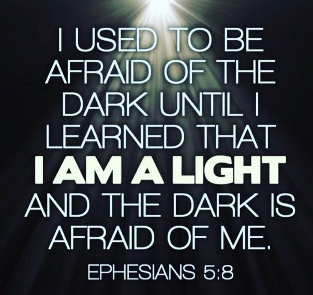 Boone Cutler 🦬🇺🇸 🦅 tweet media