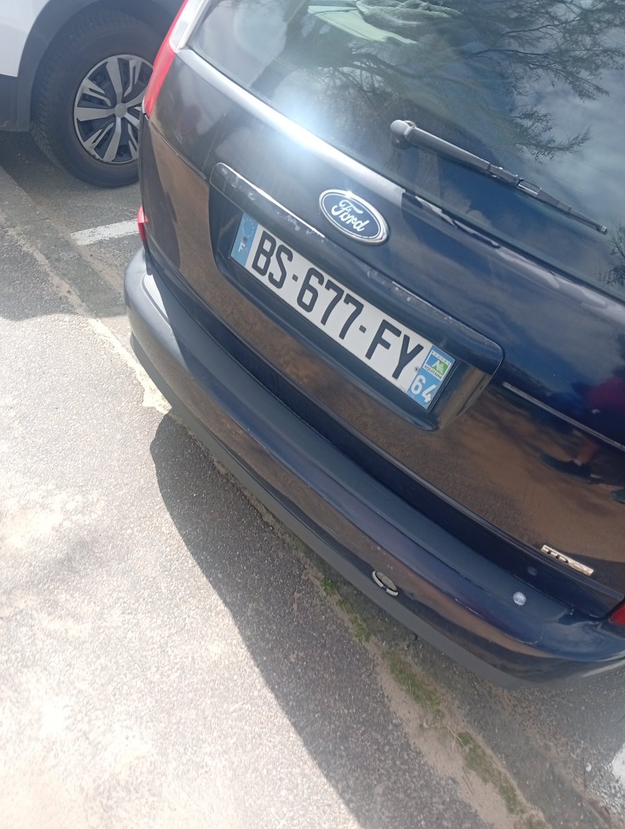 Ꭲ&ᖴ ᝪしᎩᗰᑭᏆᗩᗞ 🦜 ᴡᴏʀʟᴅᴡɪᴅᴇ ᴀᴛʜʟᴇᴛɪᴄs tweet media