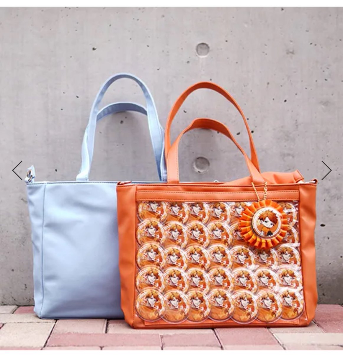 リナち🐶🩵倉部員でちの一族 tweet media