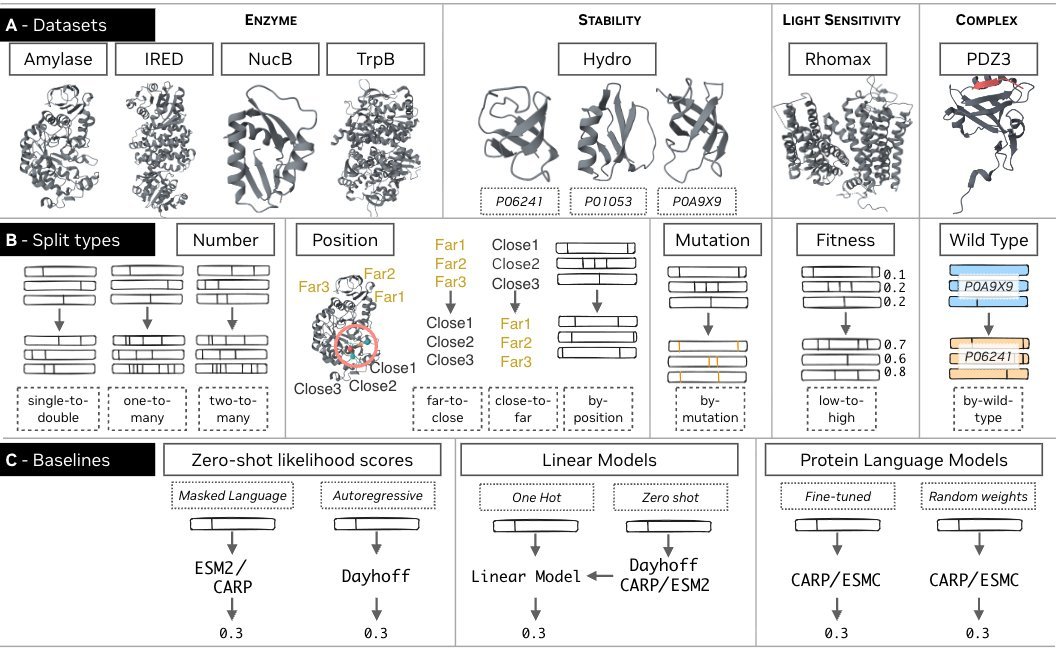 Ava Amini tweet media