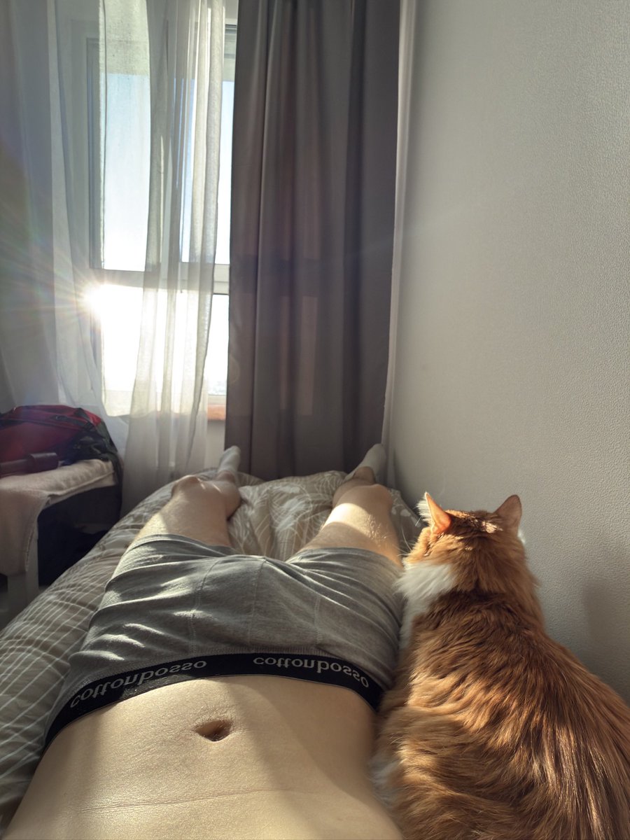 wldtsch's tweet image. 