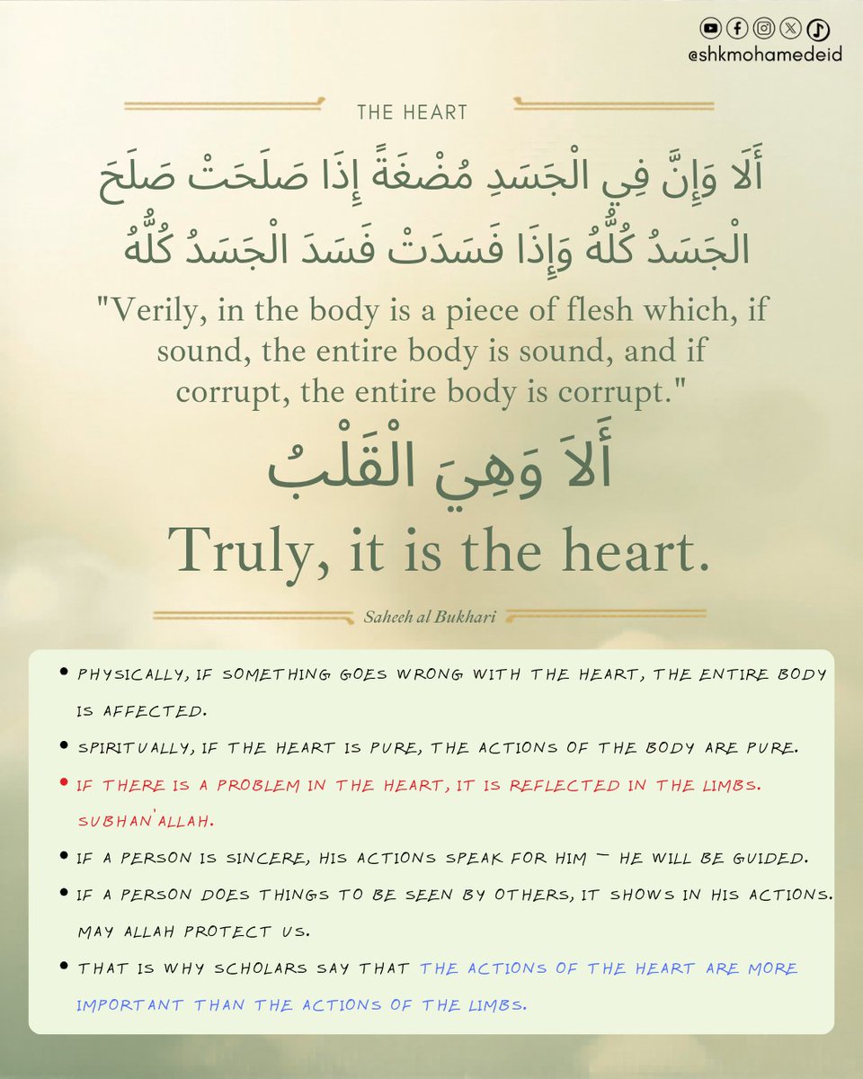 shkmohamedeid's tweet image. يَوۡمَ لَا يَنفَعُ مَالٞ وَلَا بَنُونَ 
The Day when there will not benefit [anyone] wealth or children
إِلَّا مَنۡ أَتَى ٱللَّهَ بِقَلۡبٖ سَلِيمٖ 
But only one who comes to Allāh with a sound heart.

Ash-Shu'ara' 26:88-89 📖 
🌱🌱🌱
#theheart #foundationofallactions